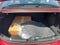 2026 Mazda Mazda3 2.5 S Select Sport Base